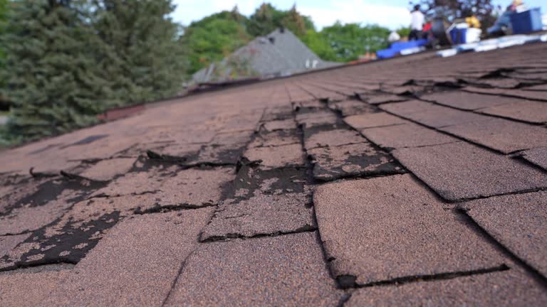 Best Roof Ventilation Installation  in Meyers, CA