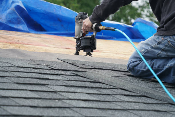 Best Roof Moss and Algae Removal  in Meyers, CA